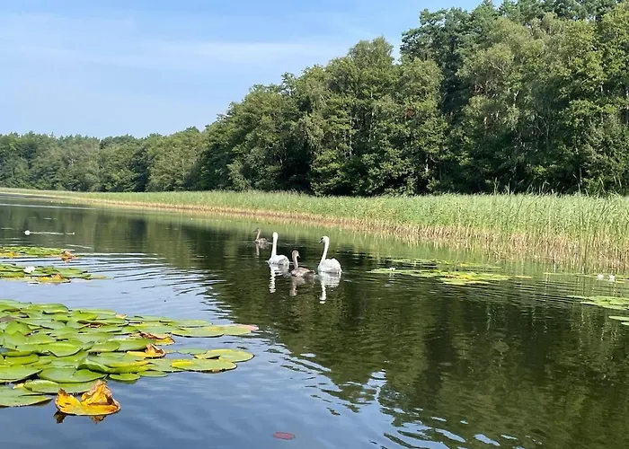 Hébergement de vacances Seeblick, Schoenberg *